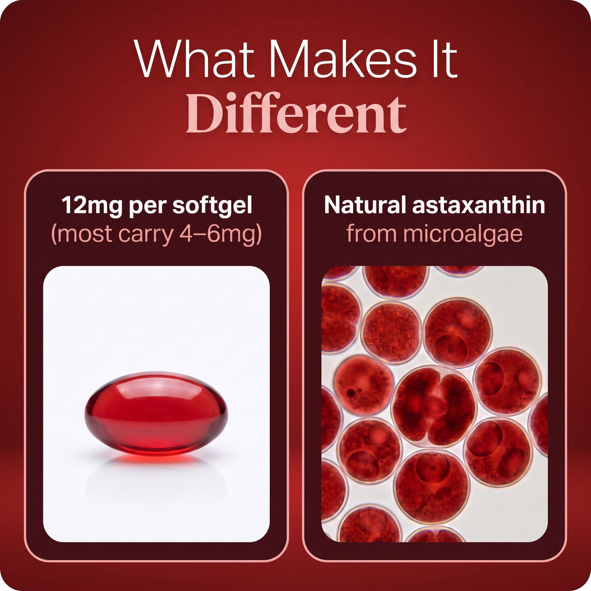 Magnavia Natural Astaxanthin 12mg, 30 red softgels in a white and deep red pouch